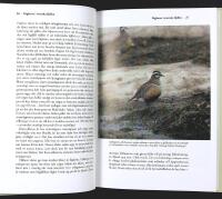 F&Aring;GLARNAS GLOBALA V&Auml;RLD &ndash; Nya r&ouml;n och gammal kunskap