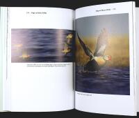 F&Aring;GLARNAS GLOBALA V&Auml;RLD &ndash; Nya r&ouml;n och gammal kunskap