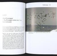 F&Aring;GLARNAS GLOBALA V&Auml;RLD &ndash; Nya r&ouml;n och gammal kunskap