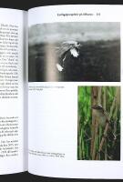 F&Aring;GLARNAS GLOBALA V&Auml;RLD &ndash; Nya r&ouml;n och gammal kunskap