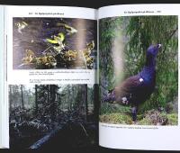 F&Aring;GLARNAS GLOBALA V&Auml;RLD &ndash; Nya r&ouml;n och gammal kunskap