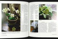 VINTERNS GODA TING &bull; Maten &bull; Julen &bull; Blommorna