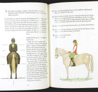 RIDSKOLAN 2  &ndash; Andra m&auml;rket