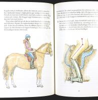 RIDSKOLAN 2  &ndash; Andra m&auml;rket