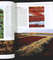 VACANCES ÉCOLO EN BRETAGNE