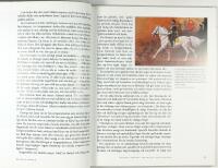 H&Auml;STENS F&Auml;RGER