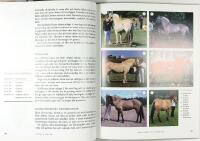 H&Auml;STENS F&Auml;RGER