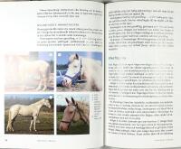 H&Auml;STENS F&Auml;RGER