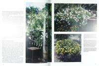 SOMMARBLOMMOR &ndash; Ge tr&auml;dg&aring;rden ny skepnad varje &aring;r