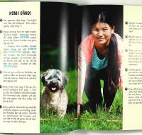 HUNDKUL! &ndash; Tricktr&auml;ning f&ouml;r b&auml;sta v&auml;nner