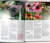 PERENNER &ndash; V&Aring;RA TR&Auml;DG&Aring;RDSV&Auml;XTER &bull; Inspiration &bull; Sk&ouml;tsel &bull; Lexikon