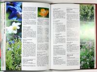 PERENNER &ndash; V&Aring;RA TR&Auml;DG&Aring;RDSV&Auml;XTER &bull; Inspiration &bull; Sk&ouml;tsel &bull; Lexikon