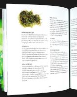 GR&Auml;SMATTAN &ndash; s&aring; lyckas du!