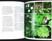 GR&Auml;SMATTAN &ndash; s&aring; lyckas du!