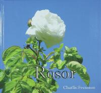 ROSOR &ndash; Kl&auml;tterrosor, buskrosor, klasblommiga rosor, storblommiga rosor