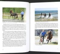 ISLANDSH&Auml;STEN &ndash; V&auml;gen till framg&aring;ng med h&auml;sten som partner