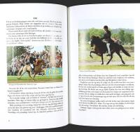 ISLANDSH&Auml;STEN &ndash; V&auml;gen till framg&aring;ng med h&auml;sten som partner