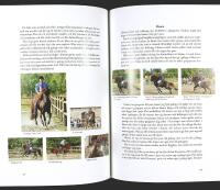 ISLANDSH&Auml;STEN &ndash; V&auml;gen till framg&aring;ng med h&auml;sten som partner