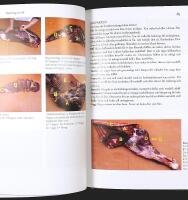 STYCKNING AV VILT &ndash; &Auml;lg, hjort, r&aring;djur, vildsvin, hare och f&aring;gel