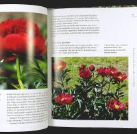 PIONER &ndash; Norsk!