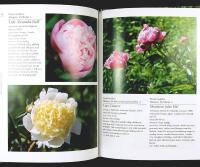 PIONER &ndash; Norsk!