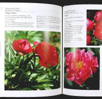 PIONER &ndash; Norsk!