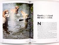 LYCKLIGA LYDIGA HUNDAR