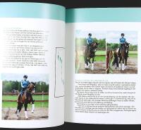 MASTERCLASS DRESSYR 1, 2, 3 &ndash; Proffsens favorit&ouml;vningar