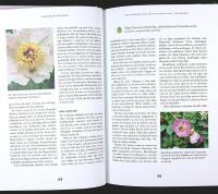 KLIMATSMART TR&Auml;DG&Aring;RD &ndash; Plantera och odla f&ouml;r h&aring;llbarhet