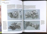 PAINTING THE FACES OF WILDLIFE &ndash; Step by Step