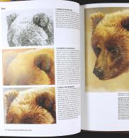 PAINTING THE FACES OF WILDLIFE &ndash; Step by Step