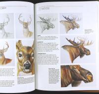 PAINTING THE FACES OF WILDLIFE &ndash; Step by Step