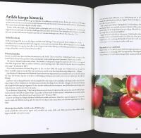 DET BRINNANDE SKEPPET &ndash; Arildslegenden