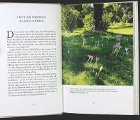 SAGAN OM SAFFRAN &ndash; Kryddan som fascinerat under &aring;rtusenden