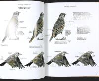 MED KIKARE OCH KAFFETERMOS &ndash; Handbok i f&aring;gelsk&aring;dning