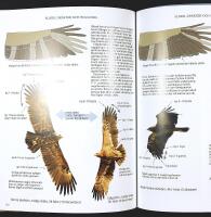 MED KIKARE OCH KAFFETERMOS &ndash; Handbok i f&aring;gelsk&aring;dning