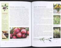 SJ&Auml;LVHUSH&Aring;LLNING P&Aring; DJUPADAL