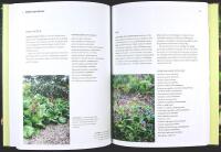 R&Auml;TT V&Auml;XT P&Aring; R&Auml;TT PLATS &ndash; V&auml;lja v&auml;xter som trivs i din tr&auml;dg&aring;rd