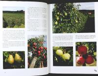 GOBITAR FR&Aring;N IV&Ouml;SJ&Ouml;BYGDEN