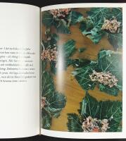 MEZE hos Halv Grek Plus Turk