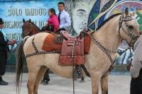 ECUADOR &ndash; Atmosphere and other things