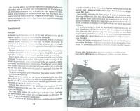 H&Auml;STAVEL &bull; Dr&auml;ktighet &bull; F&ouml;lning &bull; Unga f&ouml;l