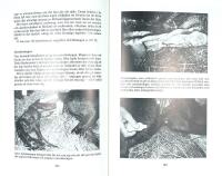 H&Auml;STAVEL &bull; Dr&auml;ktighet &bull; F&ouml;lning &bull; Unga f&ouml;l