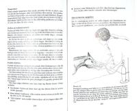 H&Auml;STAVEL &bull; Dr&auml;ktighet &bull; F&ouml;lning &bull; Unga f&ouml;l