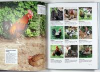 H&Ouml;NS &ndash; Raser &bull; Sk&ouml;tsel &bull; Uppf&ouml;dning