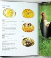 H&Ouml;NS &ndash; Raser &bull; Sk&ouml;tsel &bull; Uppf&ouml;dning