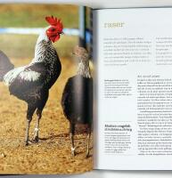 H&Ouml;NS &ndash; Raser &bull; Sk&ouml;tsel &bull; Uppf&ouml;dning