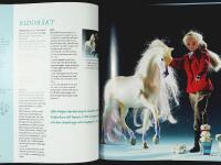 Stora boken om DOCKKL&Auml;DER &ndash; Sy och sticka till Babyborn, Barbie och flickdockan &ndash; Med m&ouml;nsterark