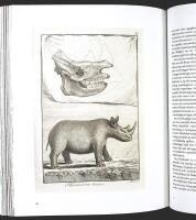 N&Auml;R EUROPA UPPT&Auml;CKER V&Auml;RLDEN &ndash; Fr&aring;n antiken till Pax Britannica