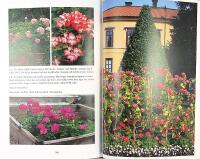 PELARGONER &ndash; Kulturarv i kruka